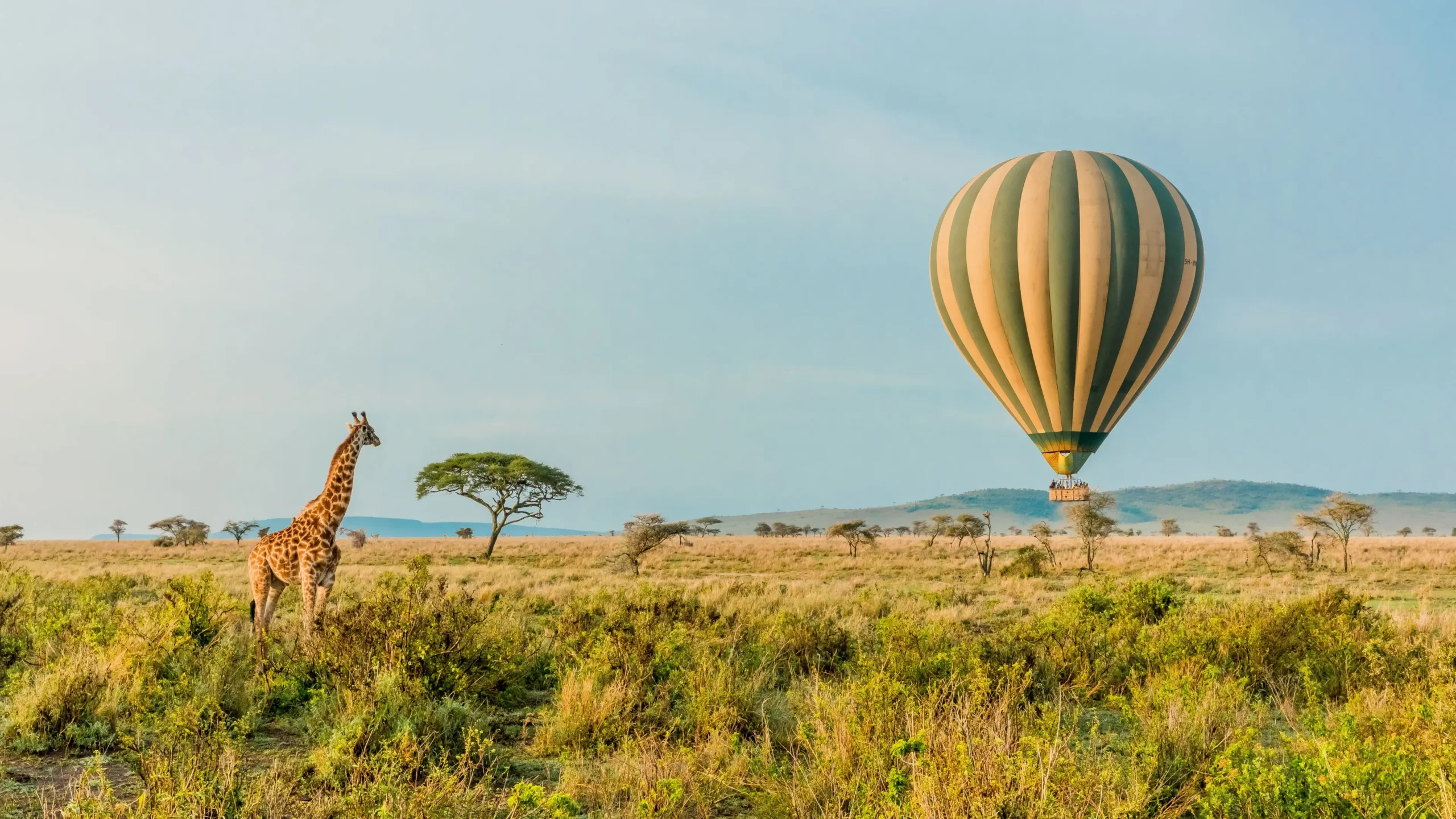 Read more about the article Serengeti Safari Experience